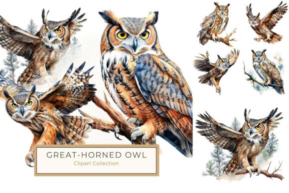 Embracing Nature's Majesty: The Watercolor Great Horned Owl Illustration